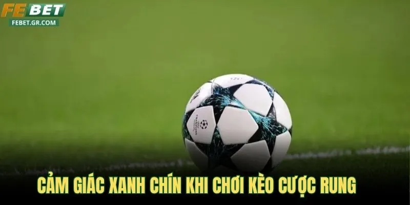cam-giac-xanh-chin-khi-choi-keo-cuoc-rung
