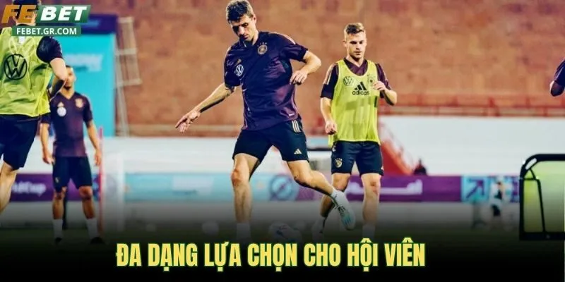 da-dang-lua-chon-cho-hoi-vien