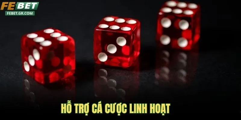 ho-tro-ca-cuoc-linh-hoat