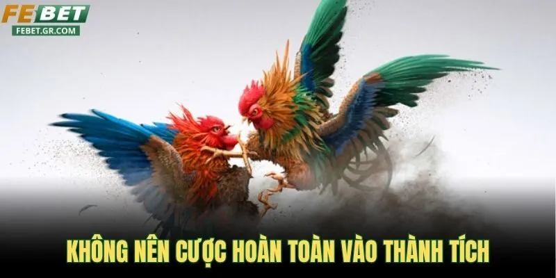 khong-nen-cuoc-hoan-toan-vao-thanh-tich