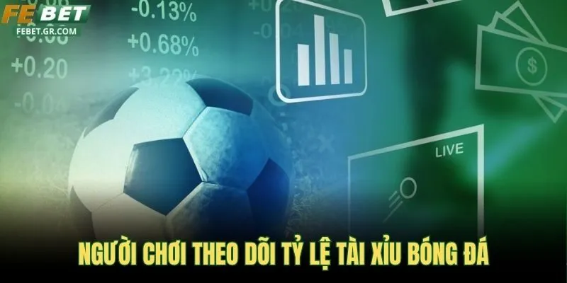 nguoi-choi-theo-doi-ty-le-tai-xiu-bong-da