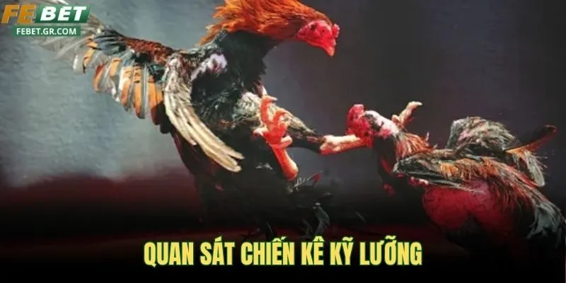 quan-sat-chien-ke-ky-luong