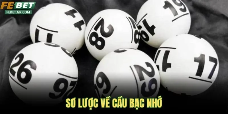 so-luoc-ve-cau-bac-nho