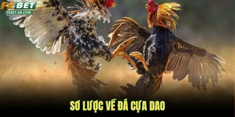 so-luoc-ve-da-cua-dao