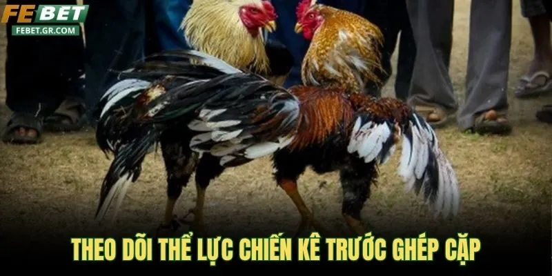theo-doi-the-luc-chien-ke-truoc-ghep-cap