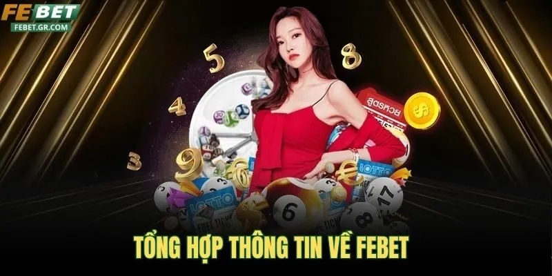 tong-hop-thong-tin-ve-febet