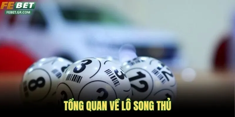 tong-quan-ve-lo-song-thu