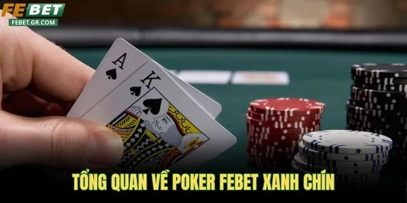 tong-quan-ve-poker-febet-xanh-chin