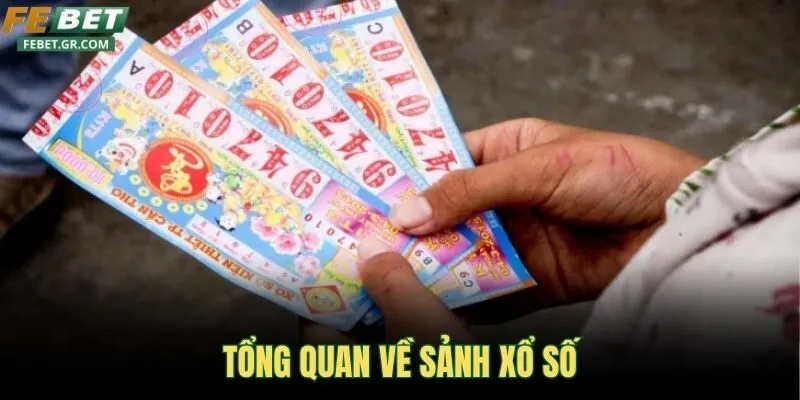 tong-quan-ve-sanh-xo-so